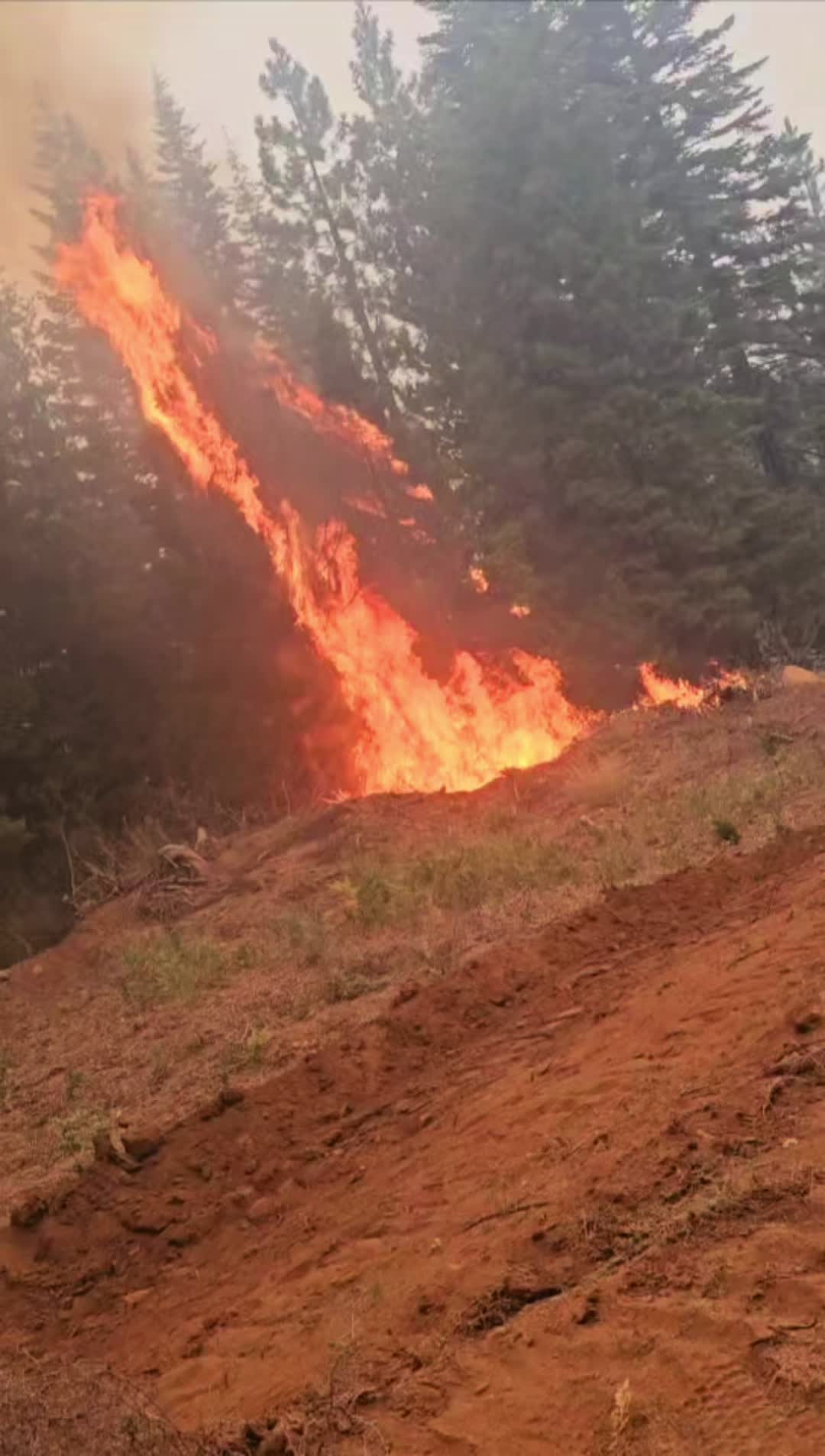@Wildlandguy