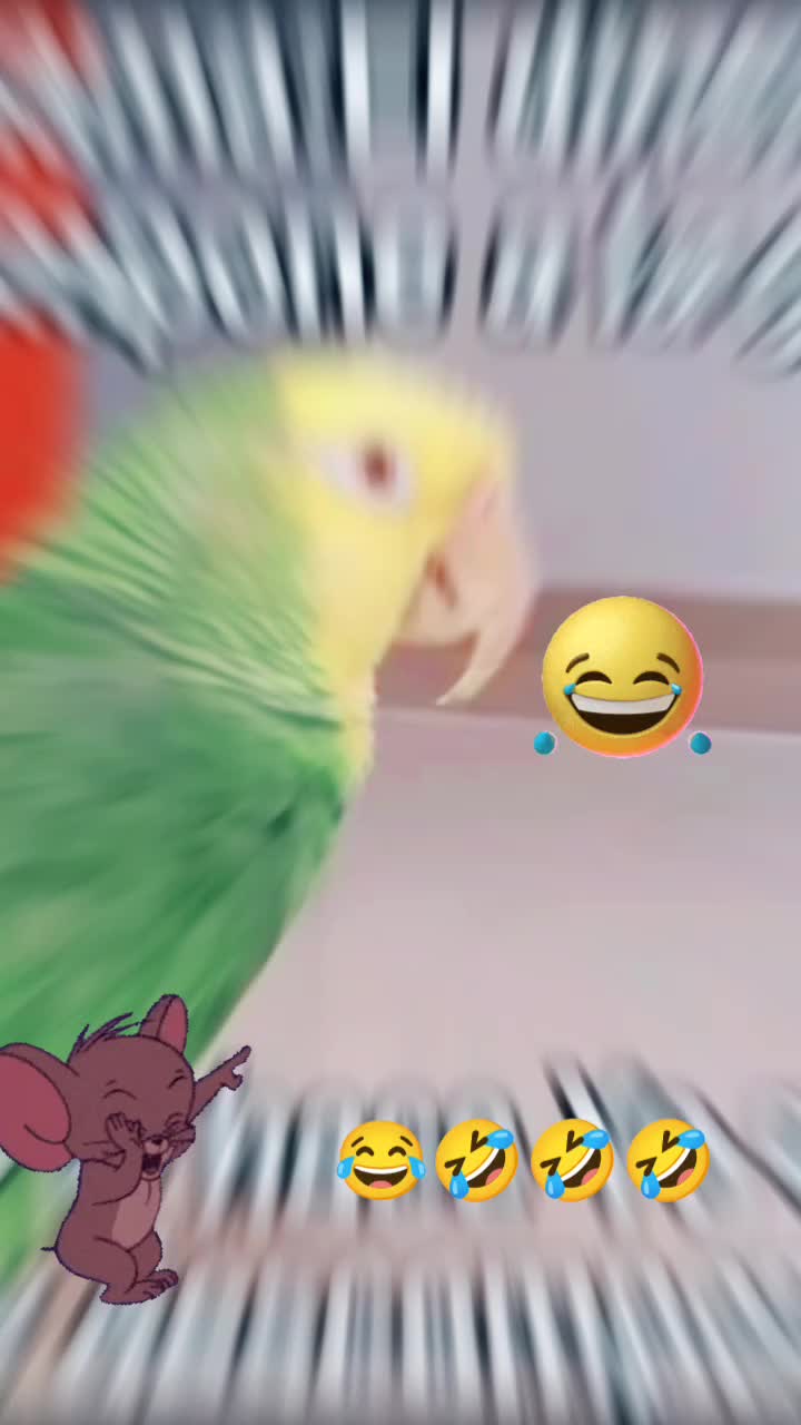 @🤣🤣🫨🤣🤣😵💫