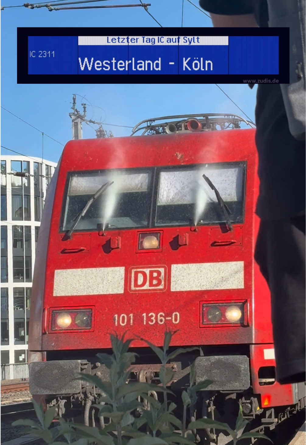 @david_ddorf