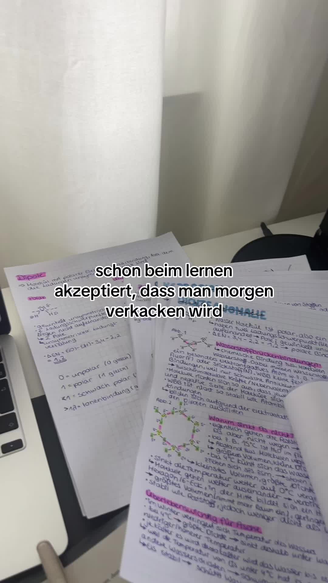 @studywithlauraa