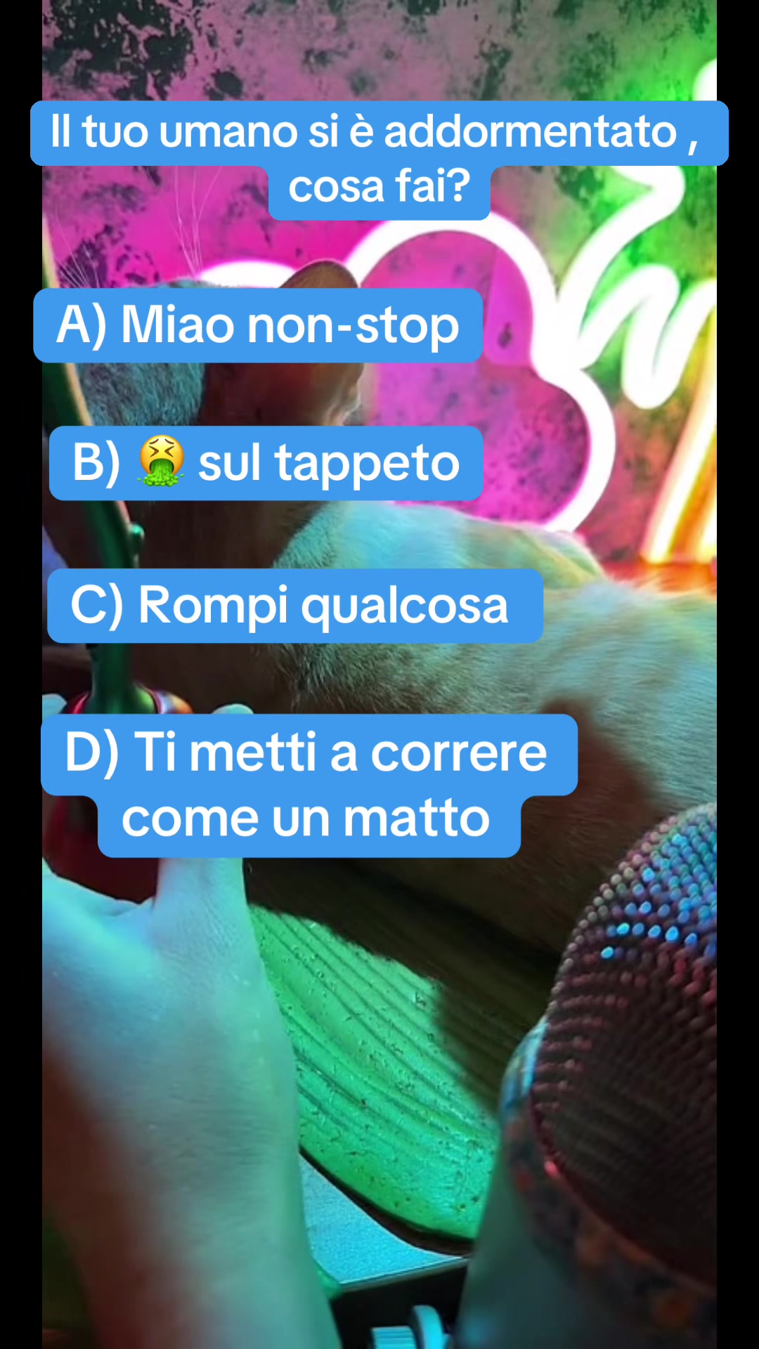 @Mirella ASMR