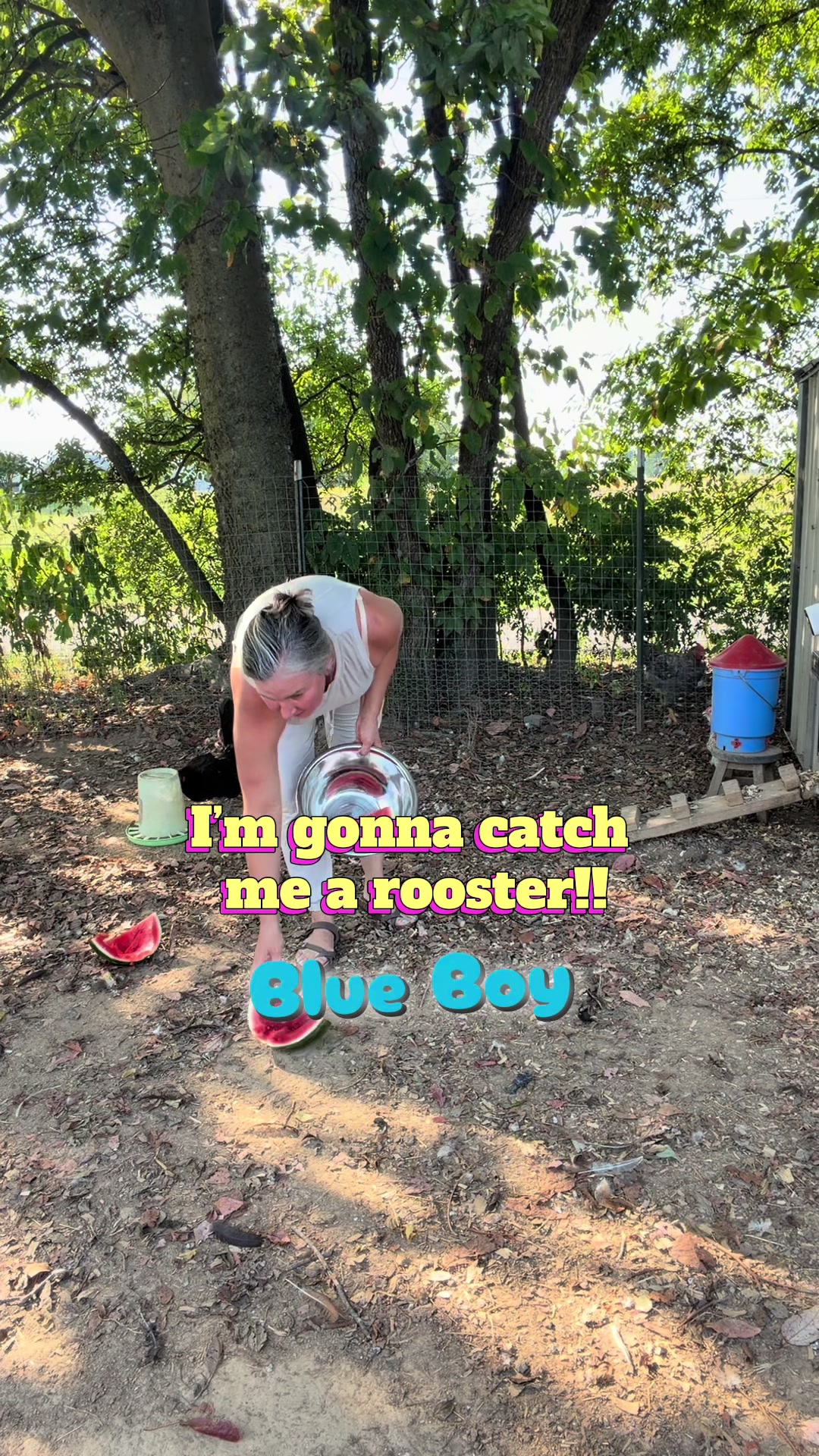 @chickchickmomma4