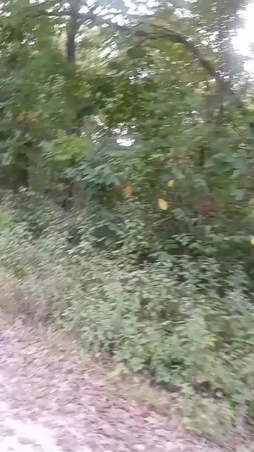 @theGravelRoadGhost