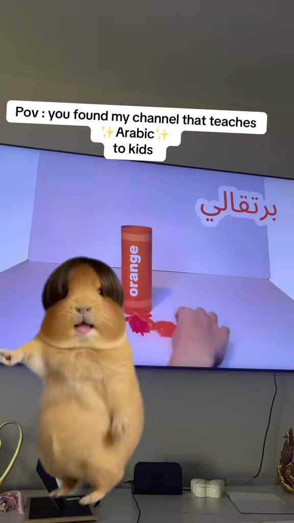 @Learnwithaline