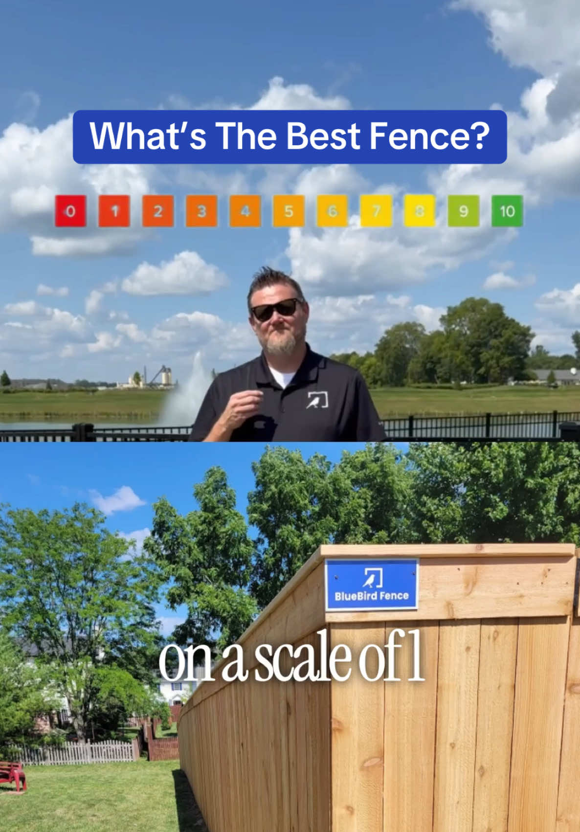 @BlueBird Fence
