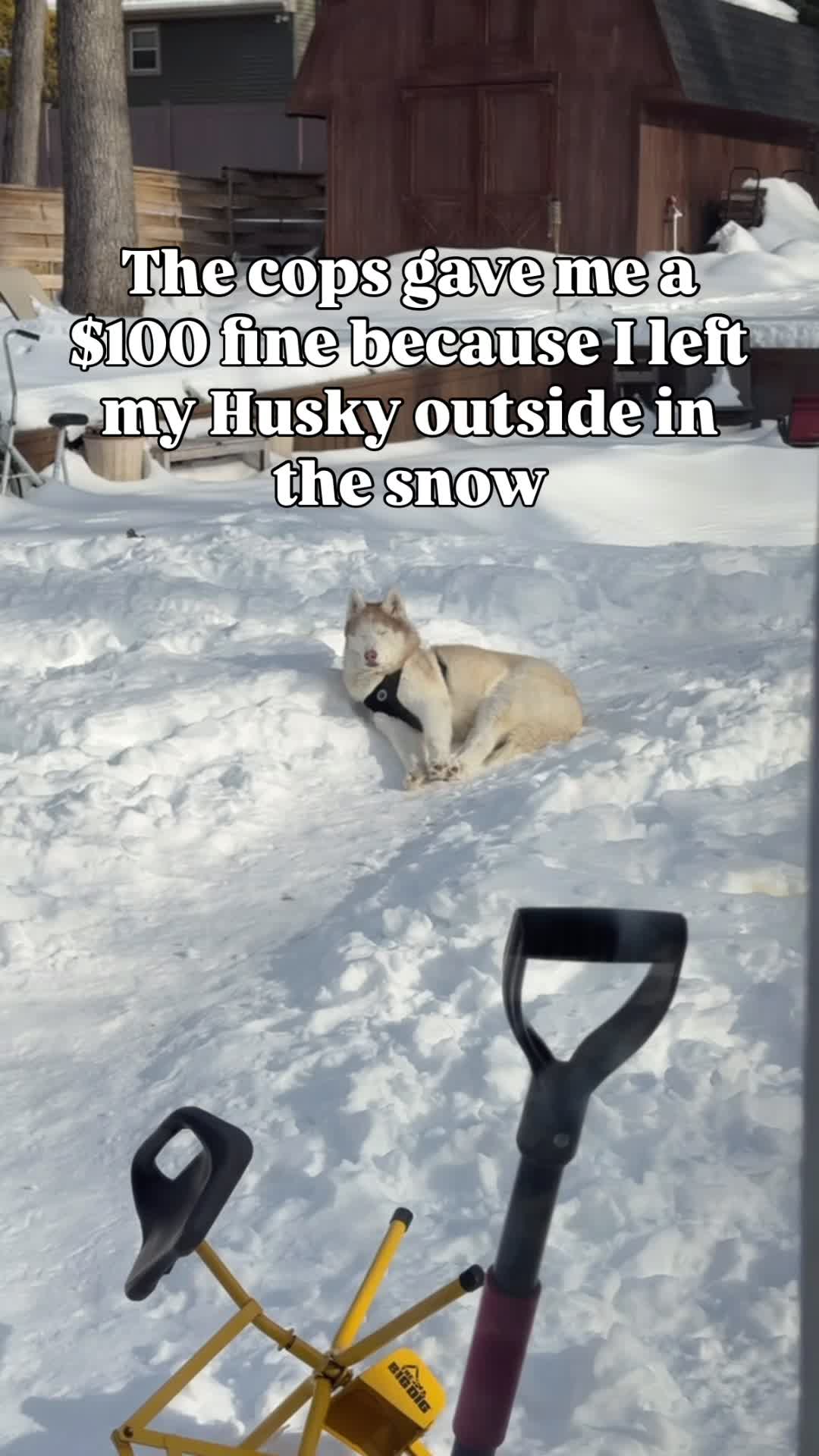 @freezinghusky
