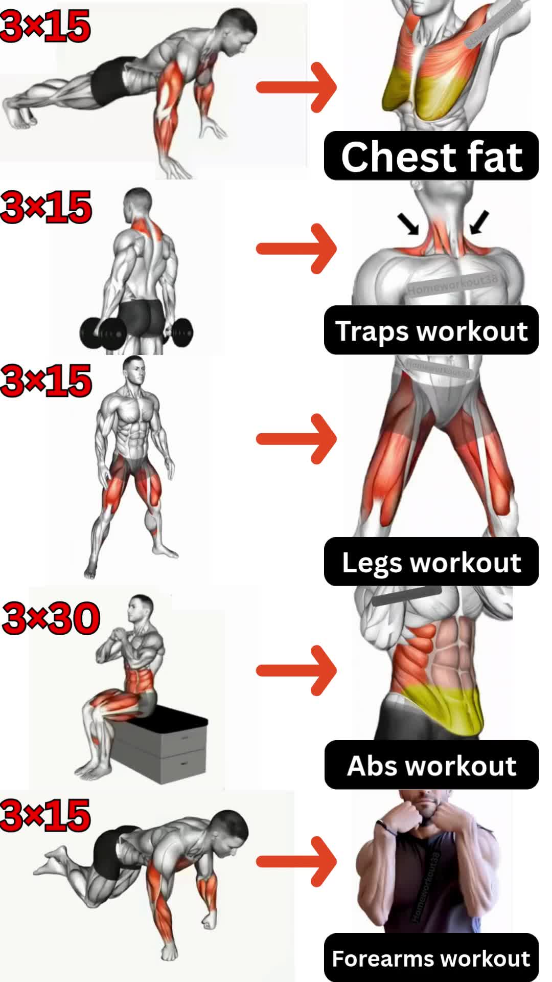@HOMEWORKOUT