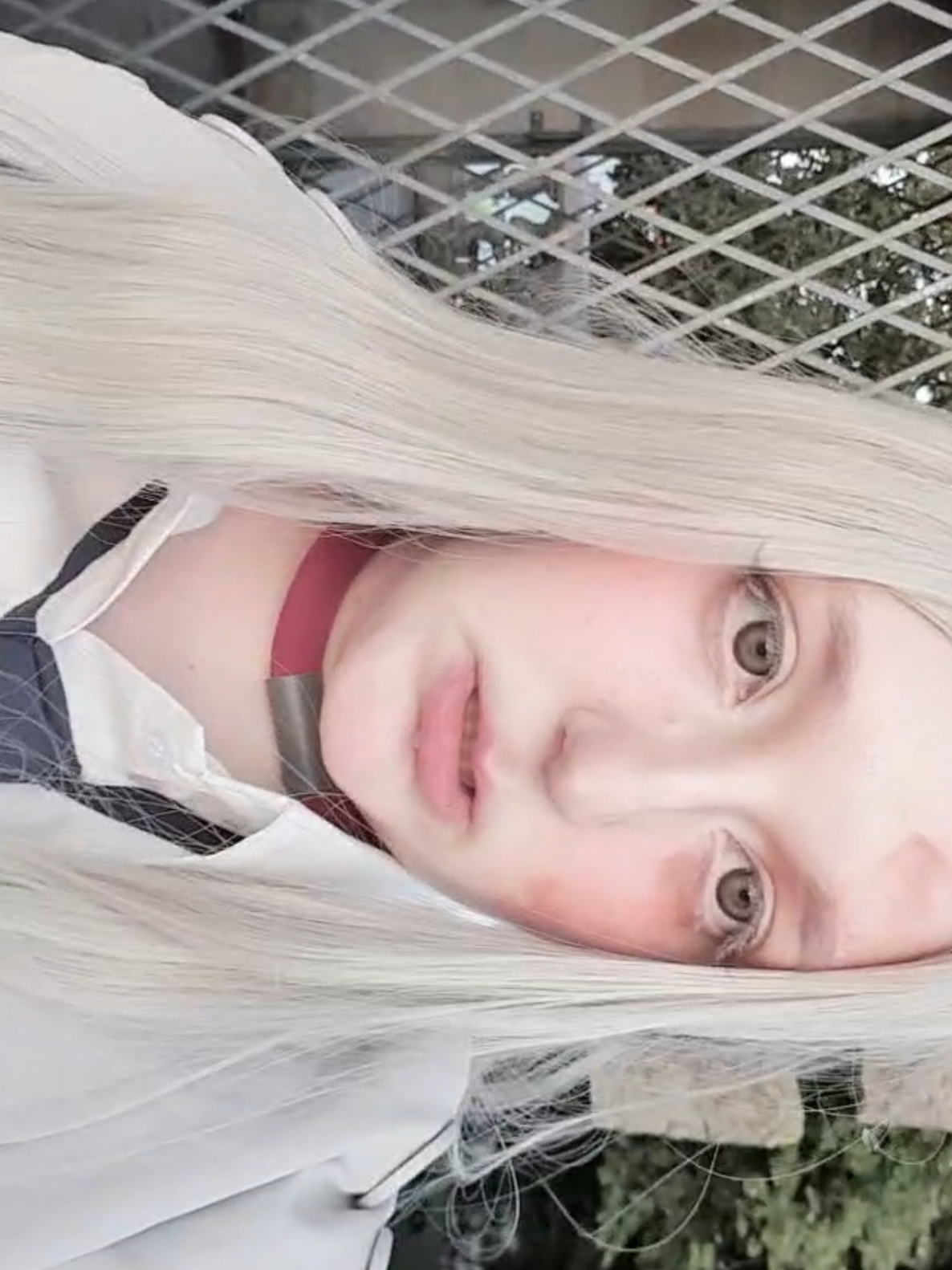 @୨୧ ℓυηα ˚₊·