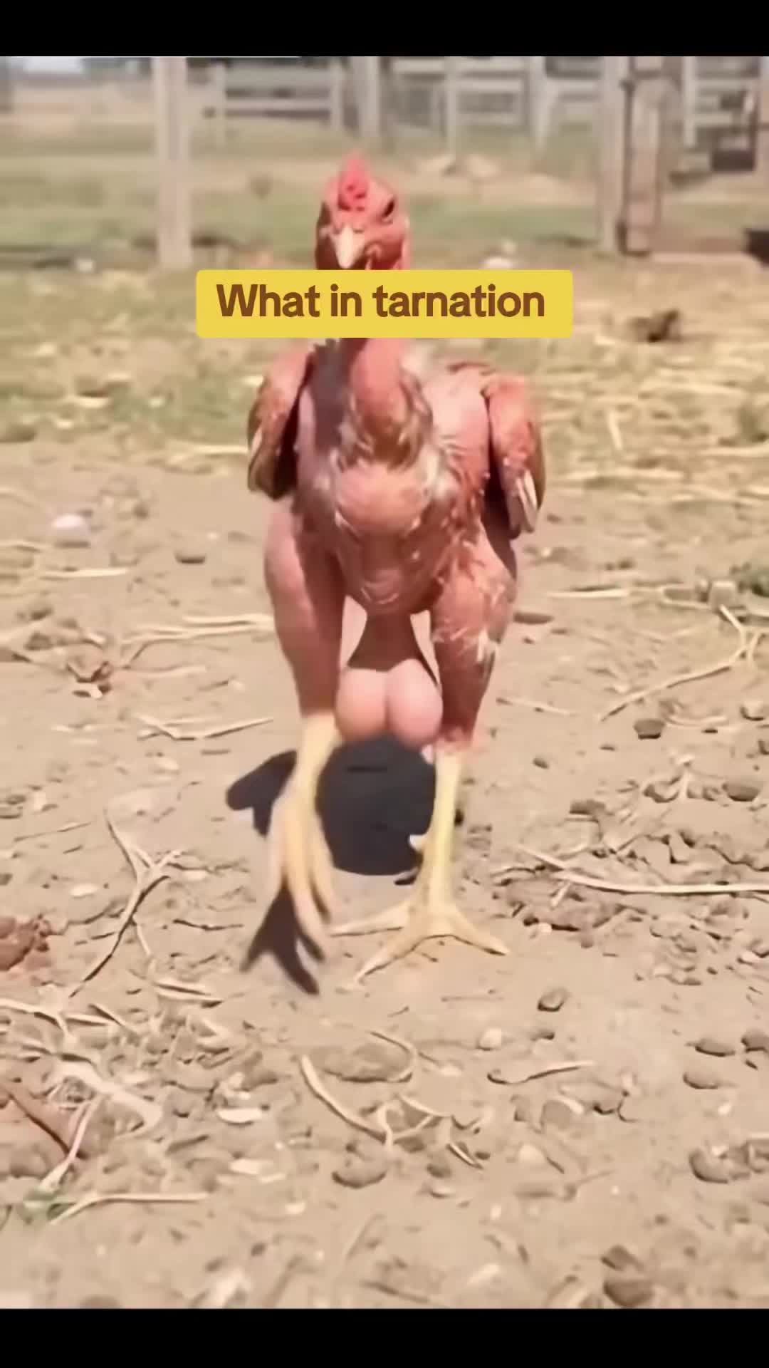 @keepncalm
