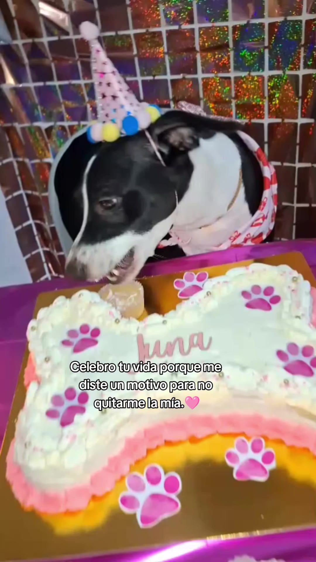 @Gaby