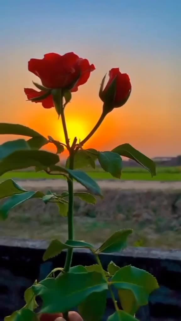 @☝️♥️عشق فقط خدا ♥️☝️