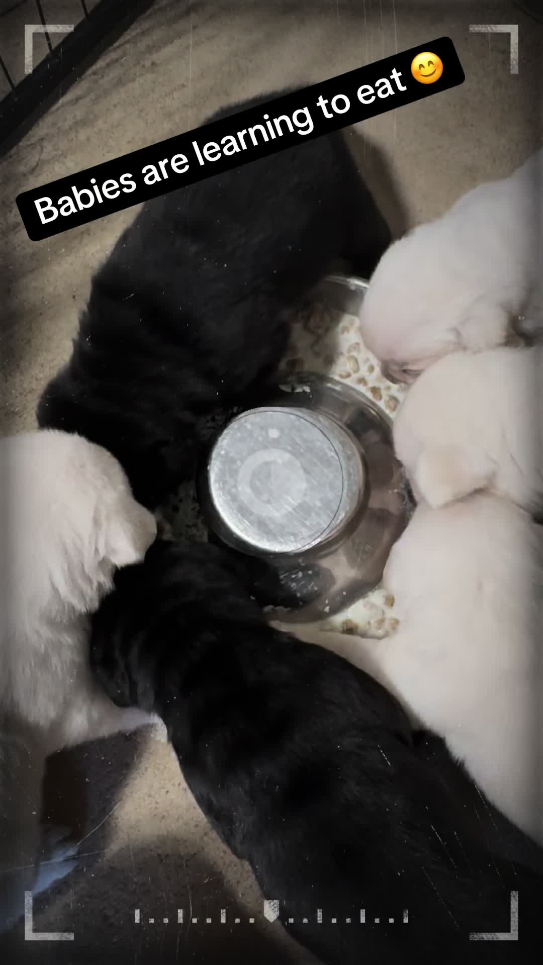 @RRFarmLabs