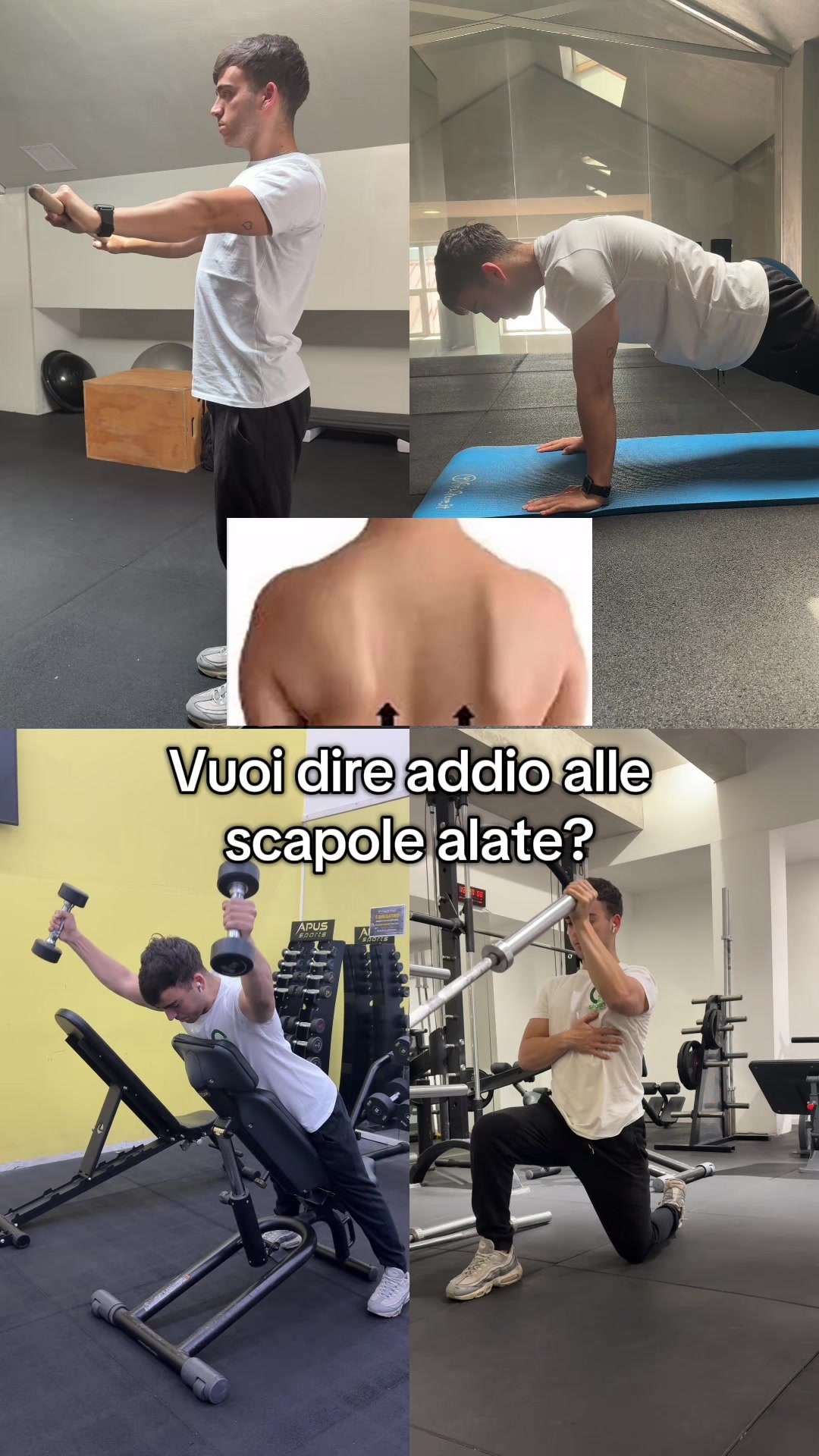 @jacopo.condorelli_chinesiologo