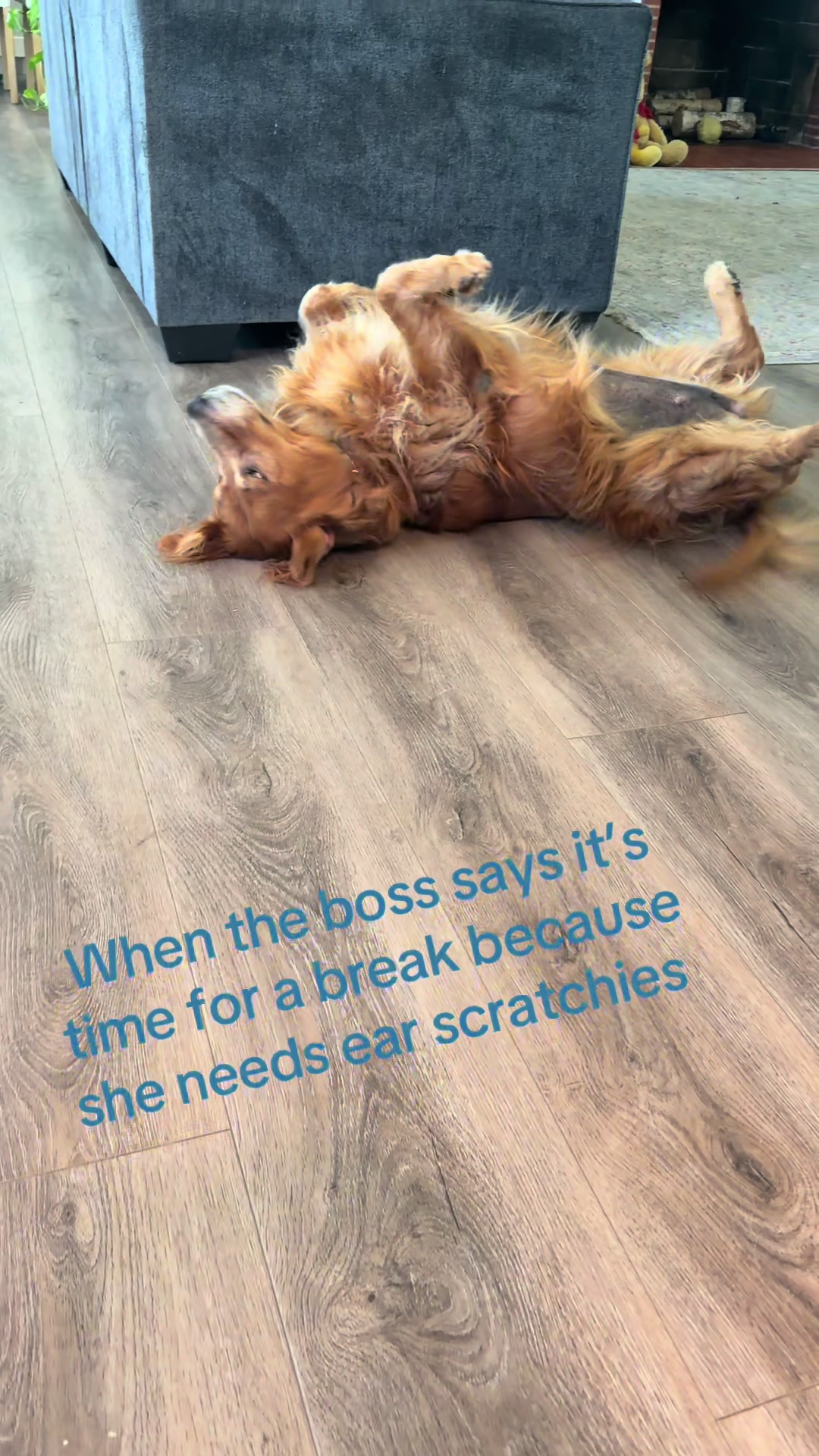 @2goldensandacat