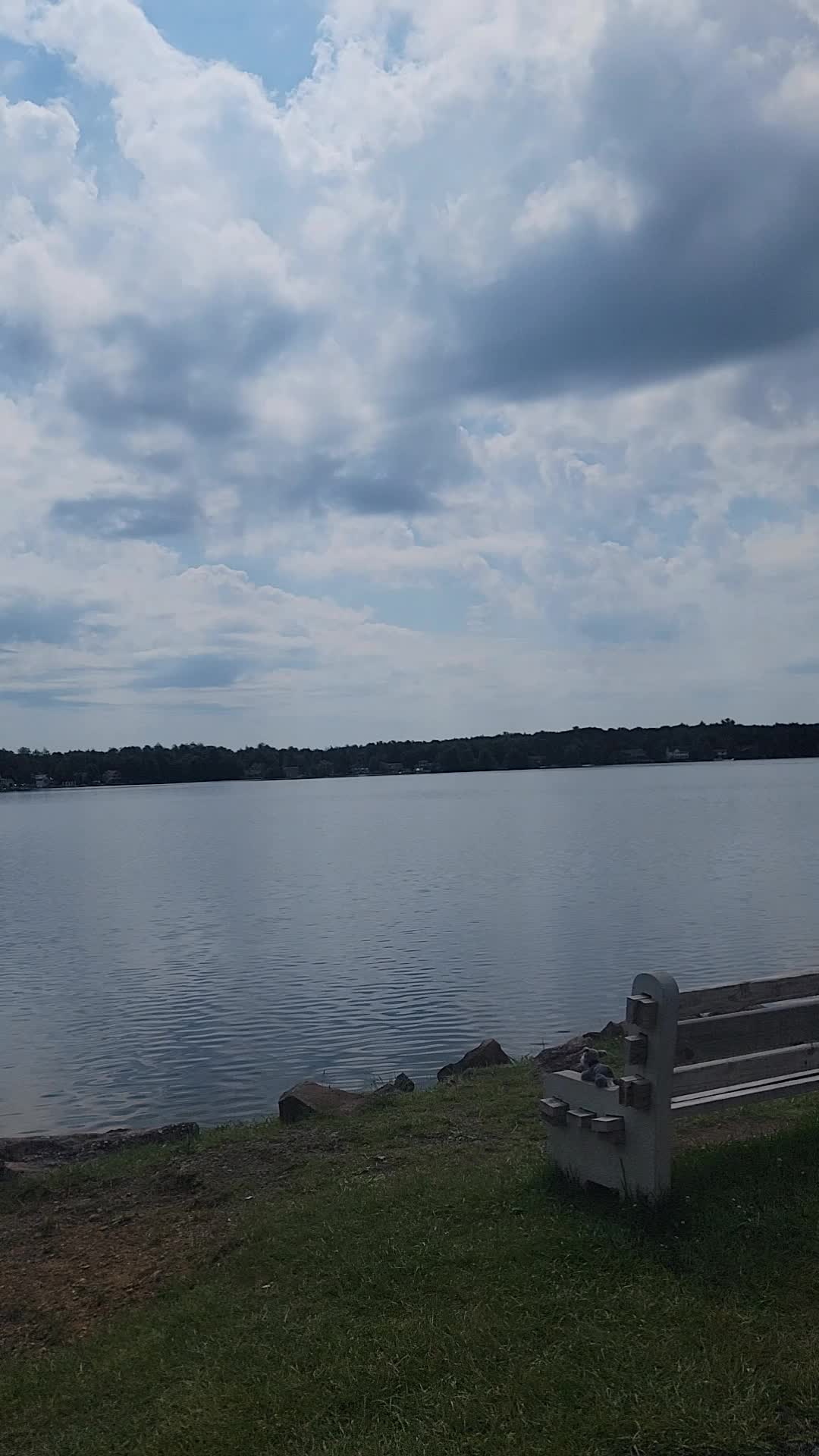 @72v.Peyton