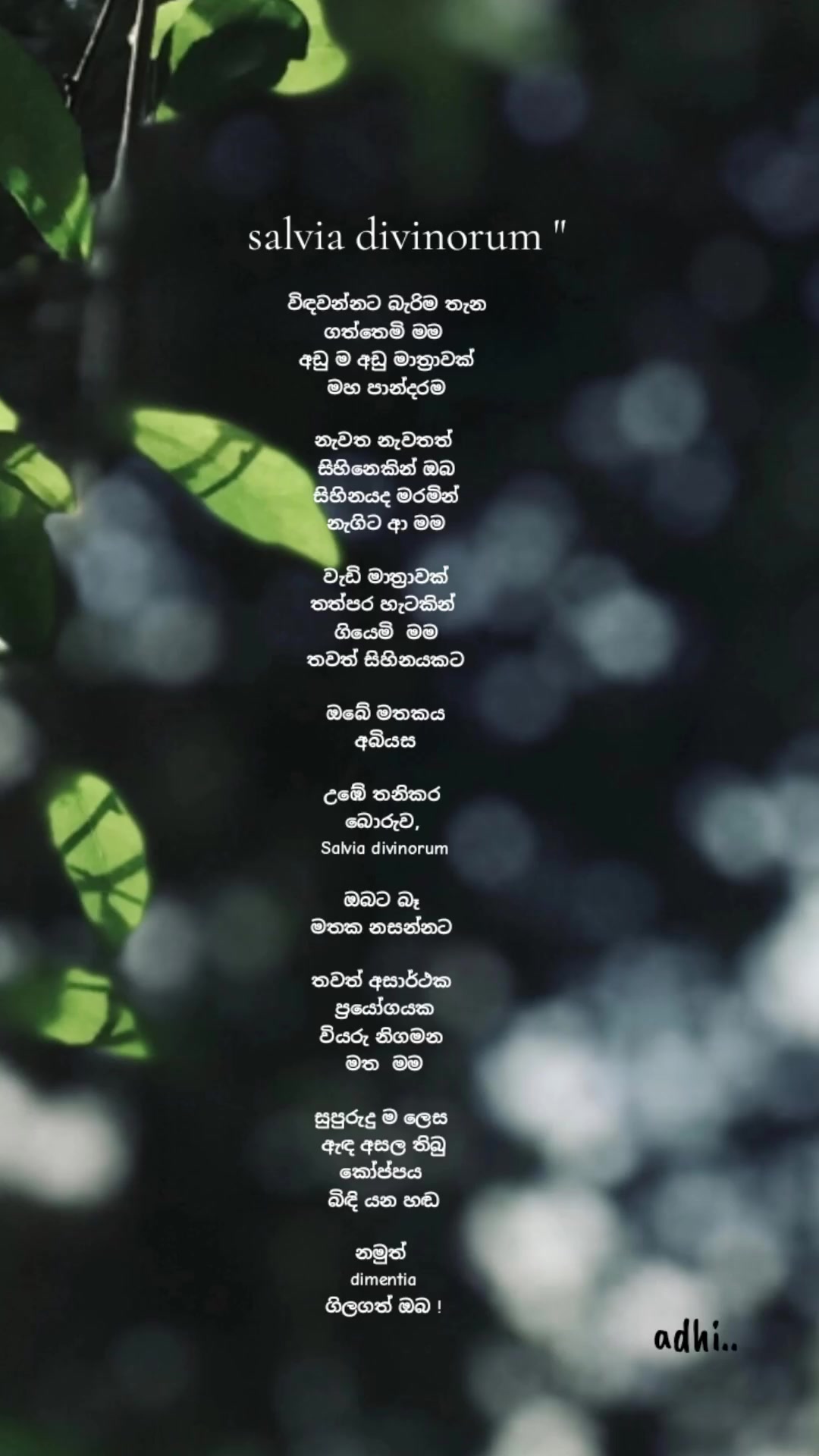 @`ოȏ̈ȏ̈ᖙሃ´🐝