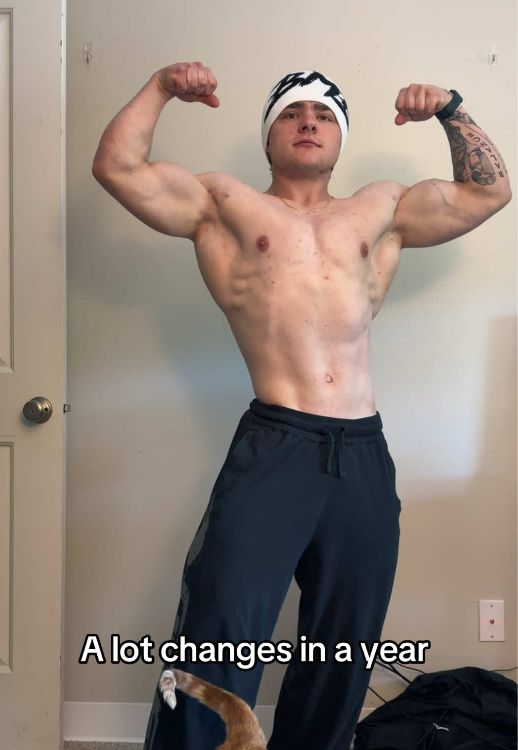 @AlexVanBfit2.0