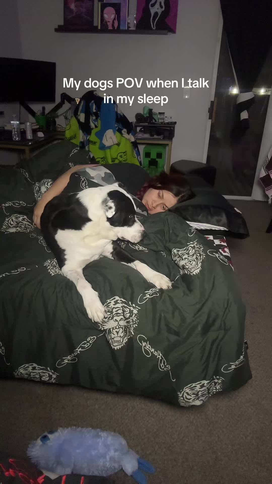 @lulu.vampira