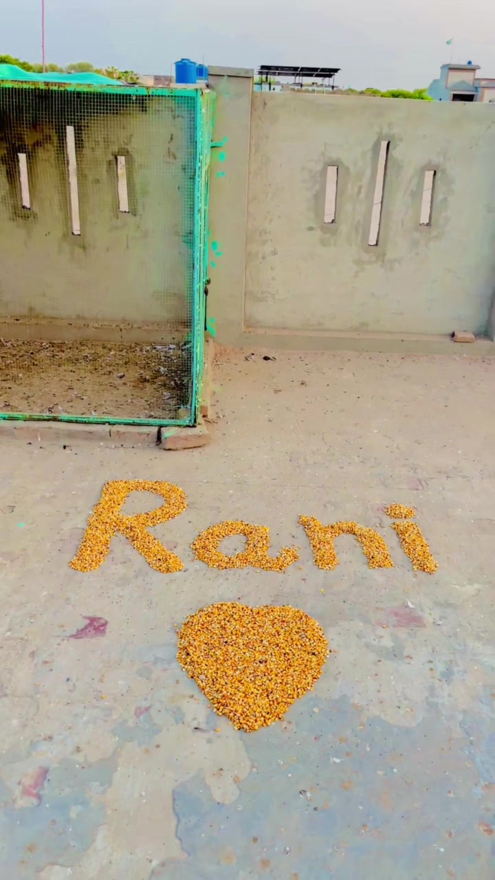 @Shahroz