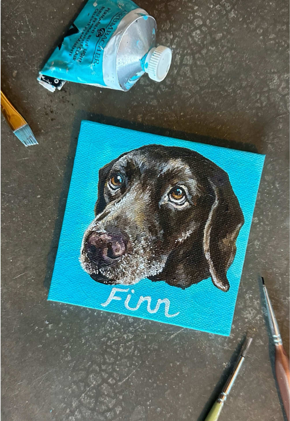 @Pet Portrait Artist