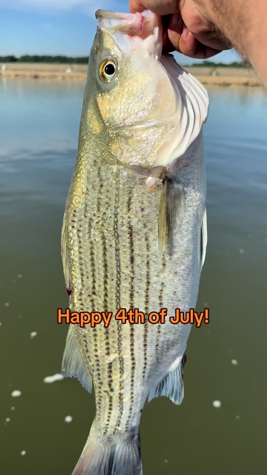 @Kentucky Fishing