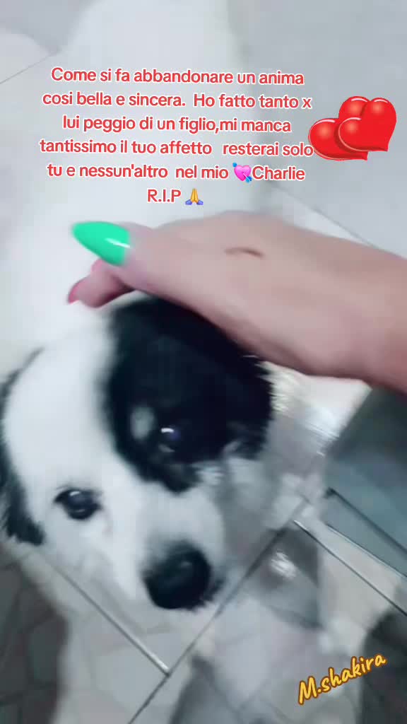 @Manu_Maria_Shakira