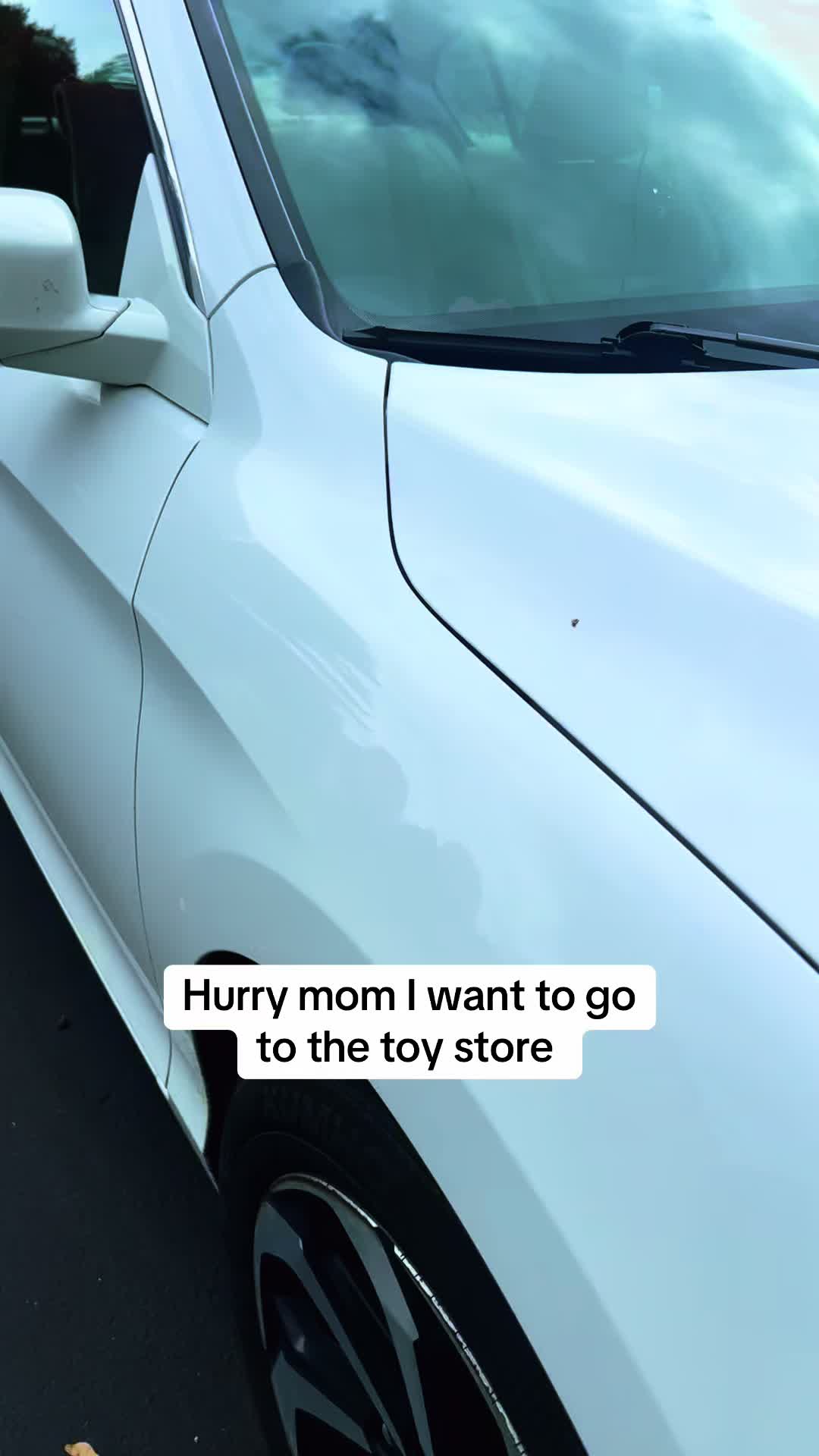 @Lily Grace &Loganbowties