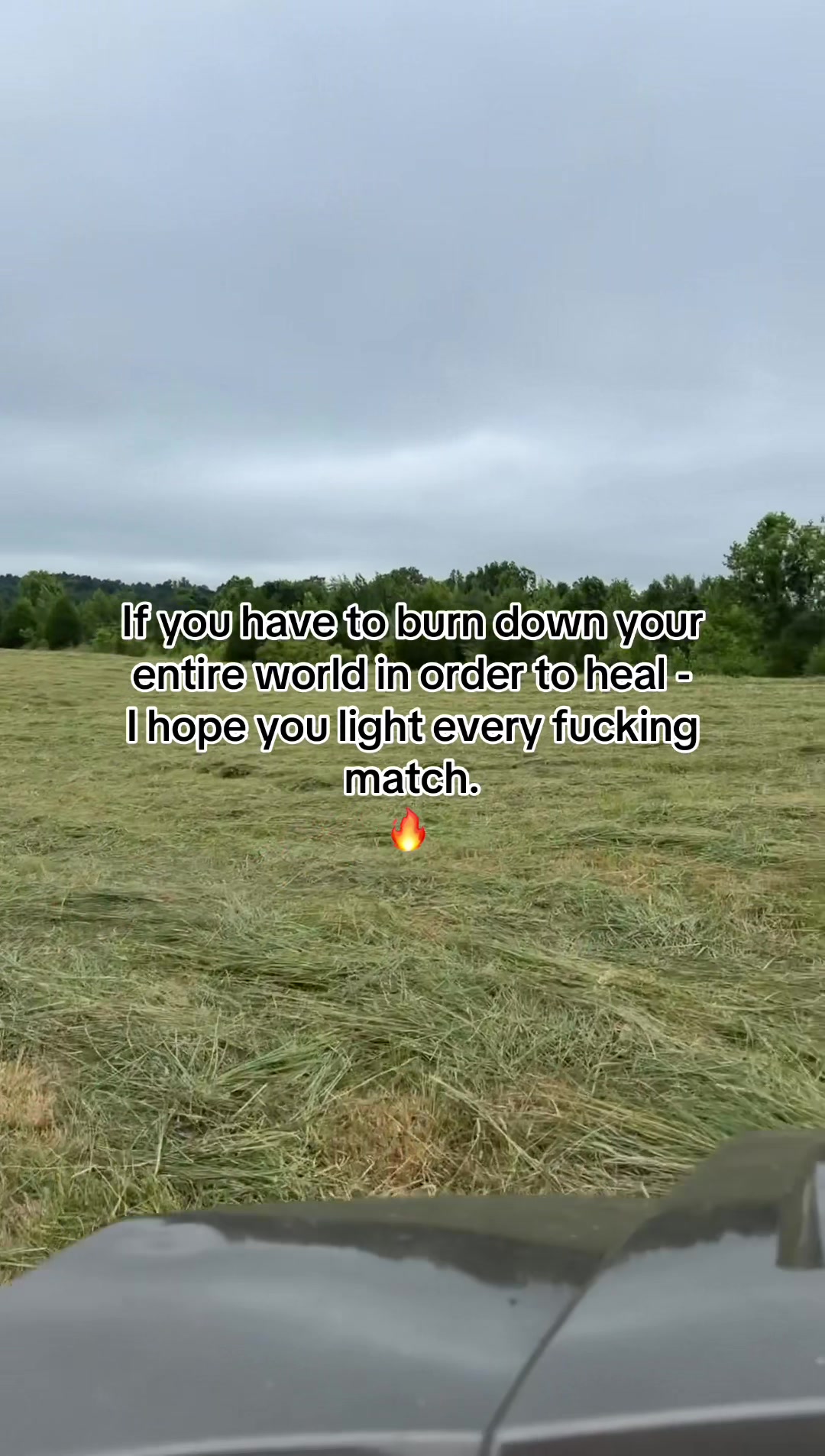 @Trent 🦌