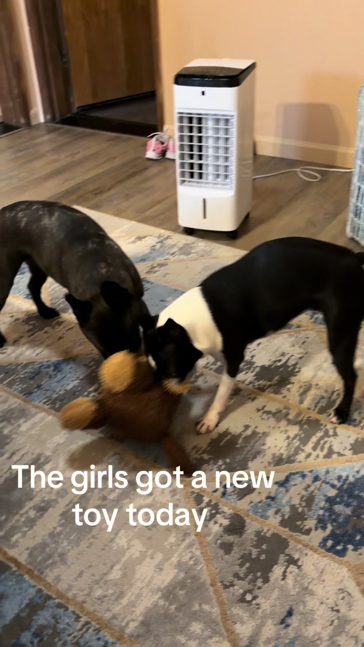@Laurie’s-remi&delilah