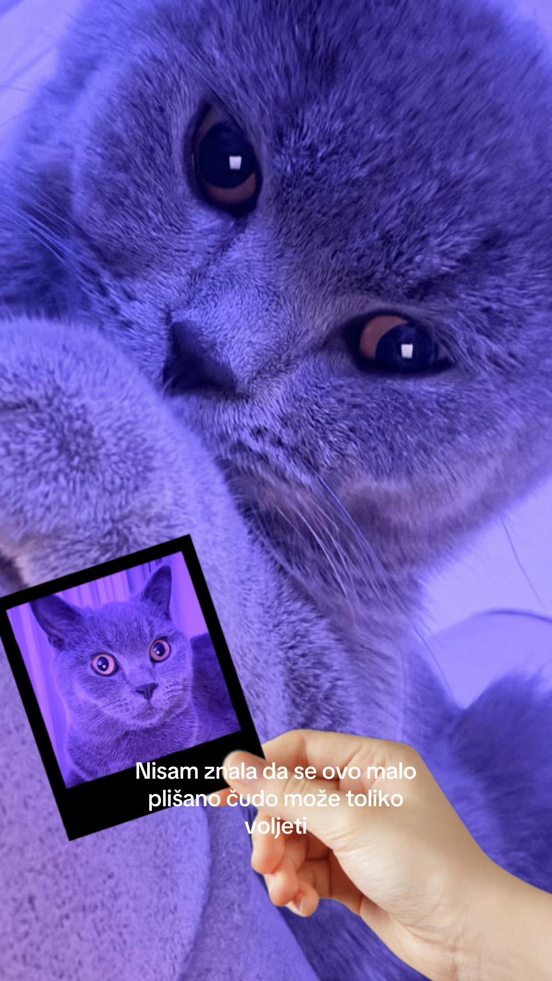 @Obična žena