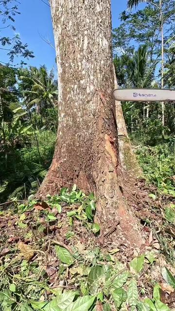 @Yulianto