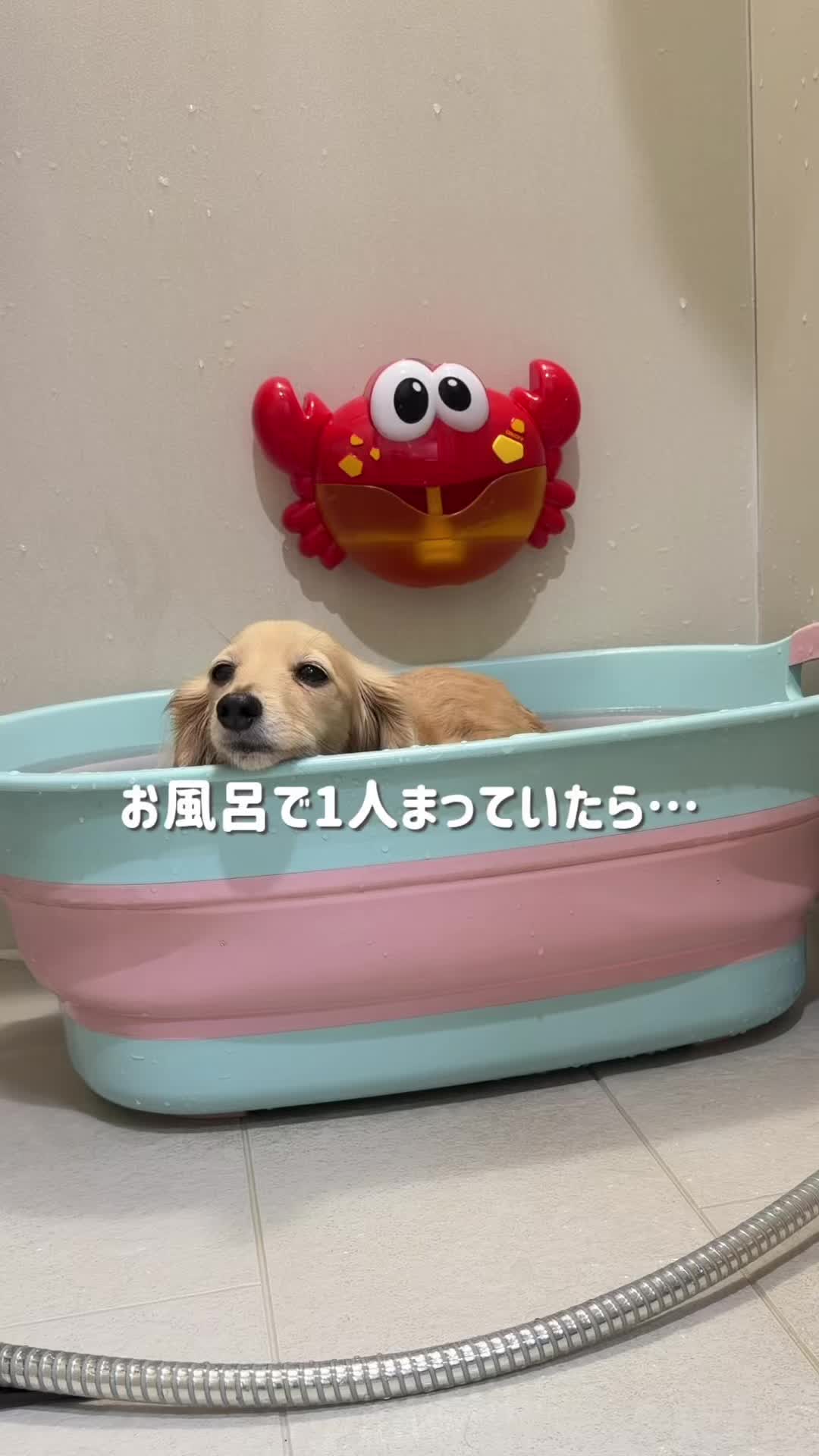@🎀もあらなまぅ🎀