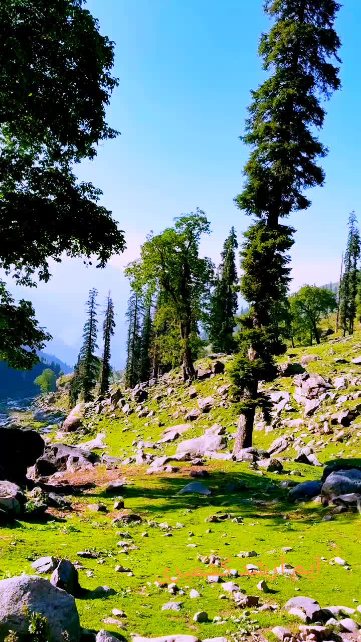 @M,Arshad kashmiri