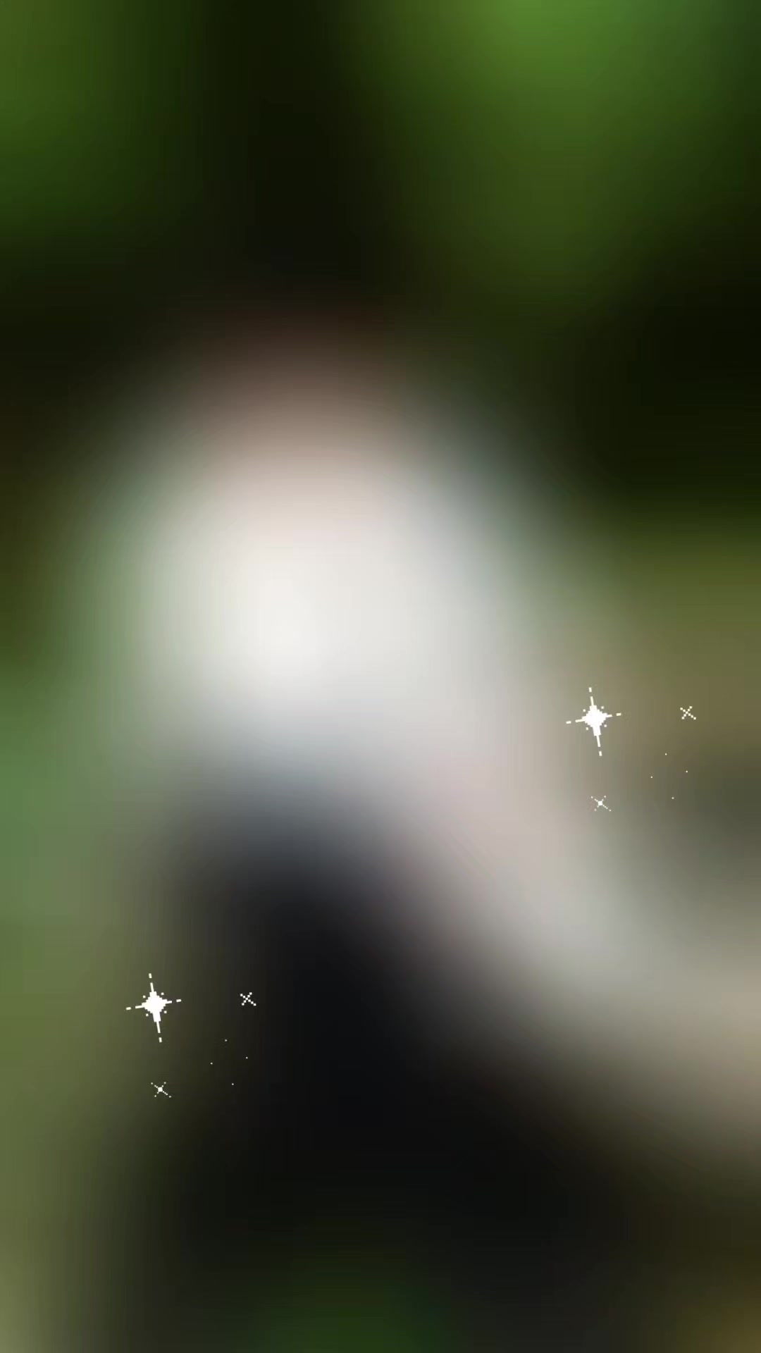 @옥수수