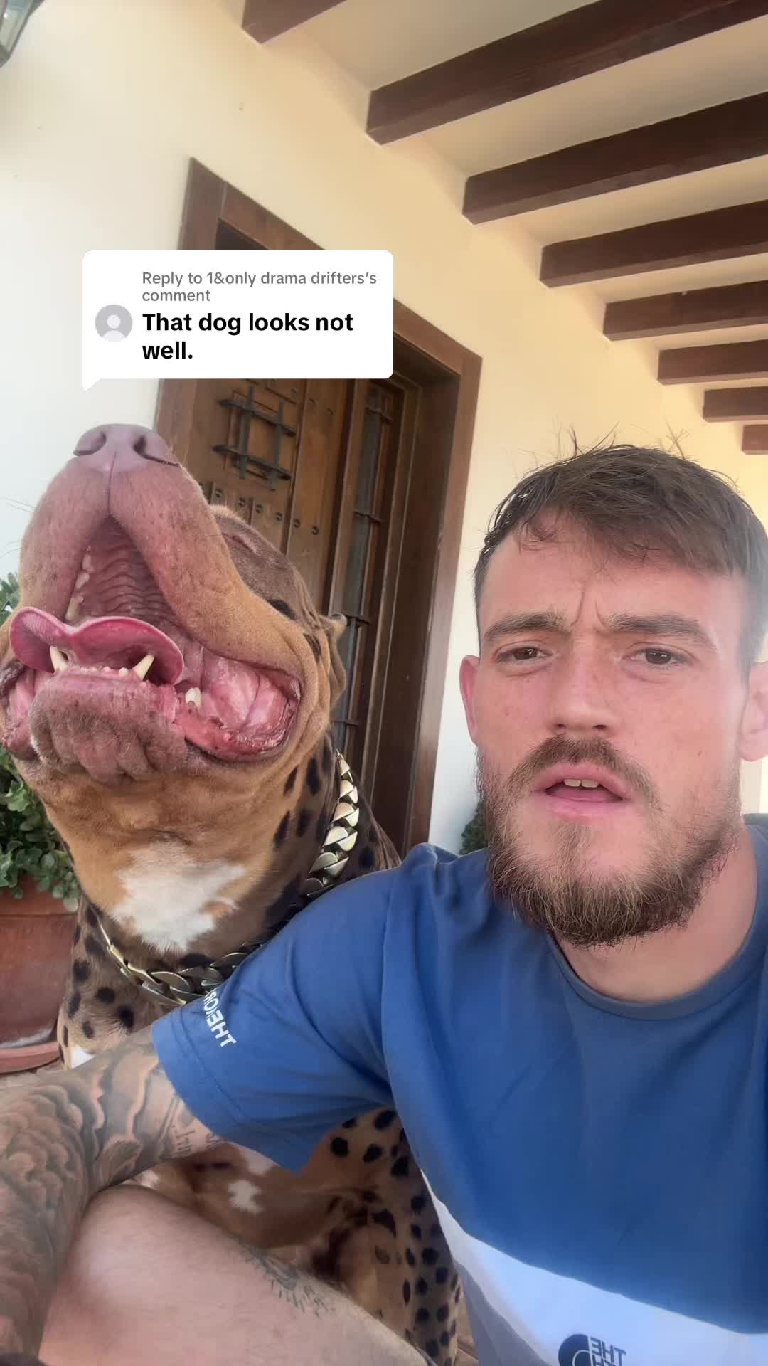 @deanthedogman1
