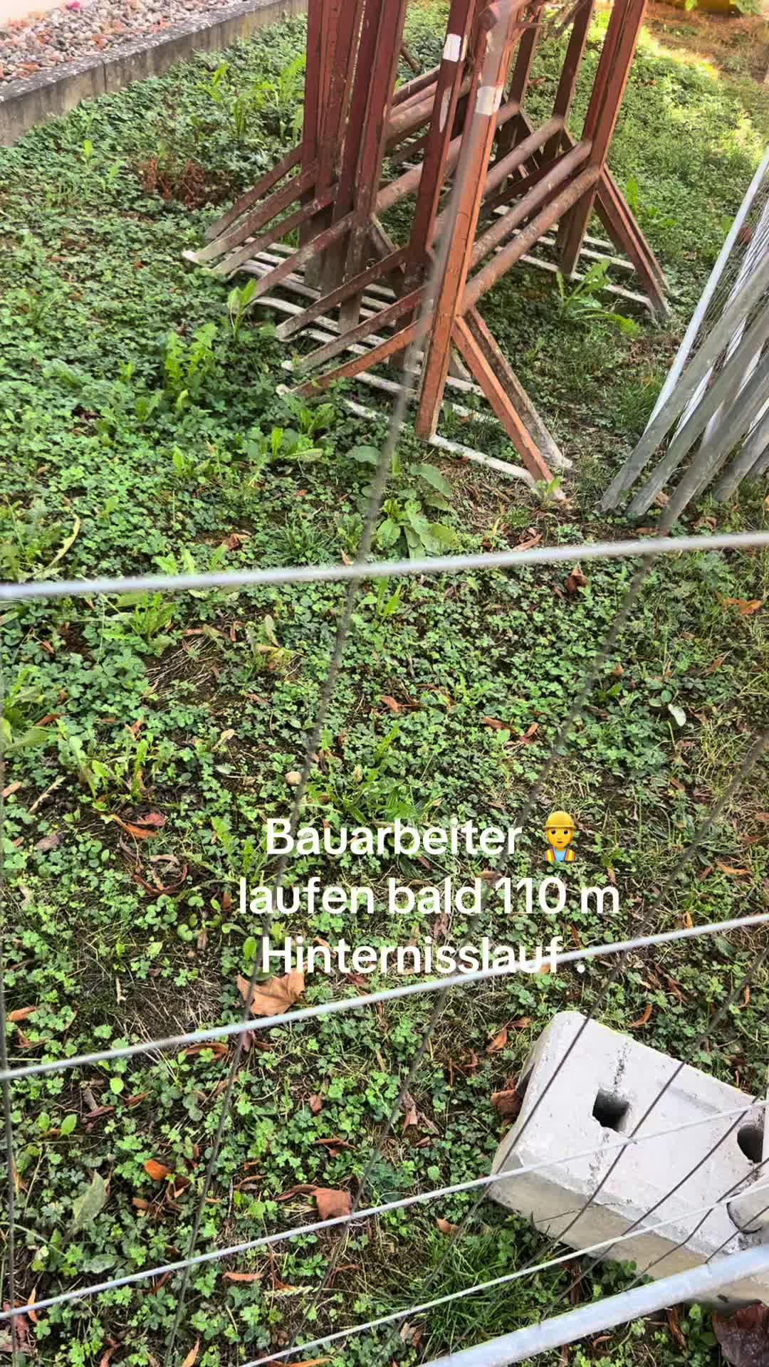 @Valentin🇩🇪grow-Level up