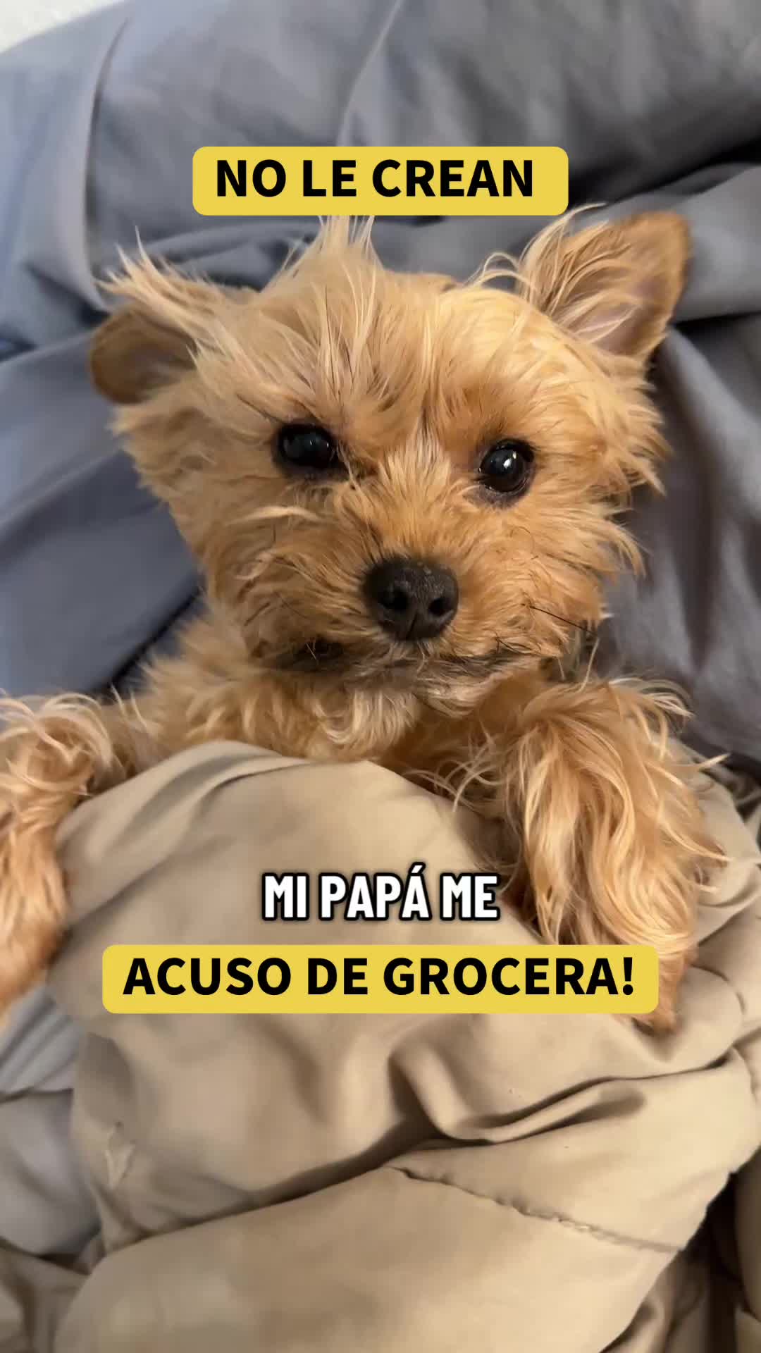 @mili_la_yorki