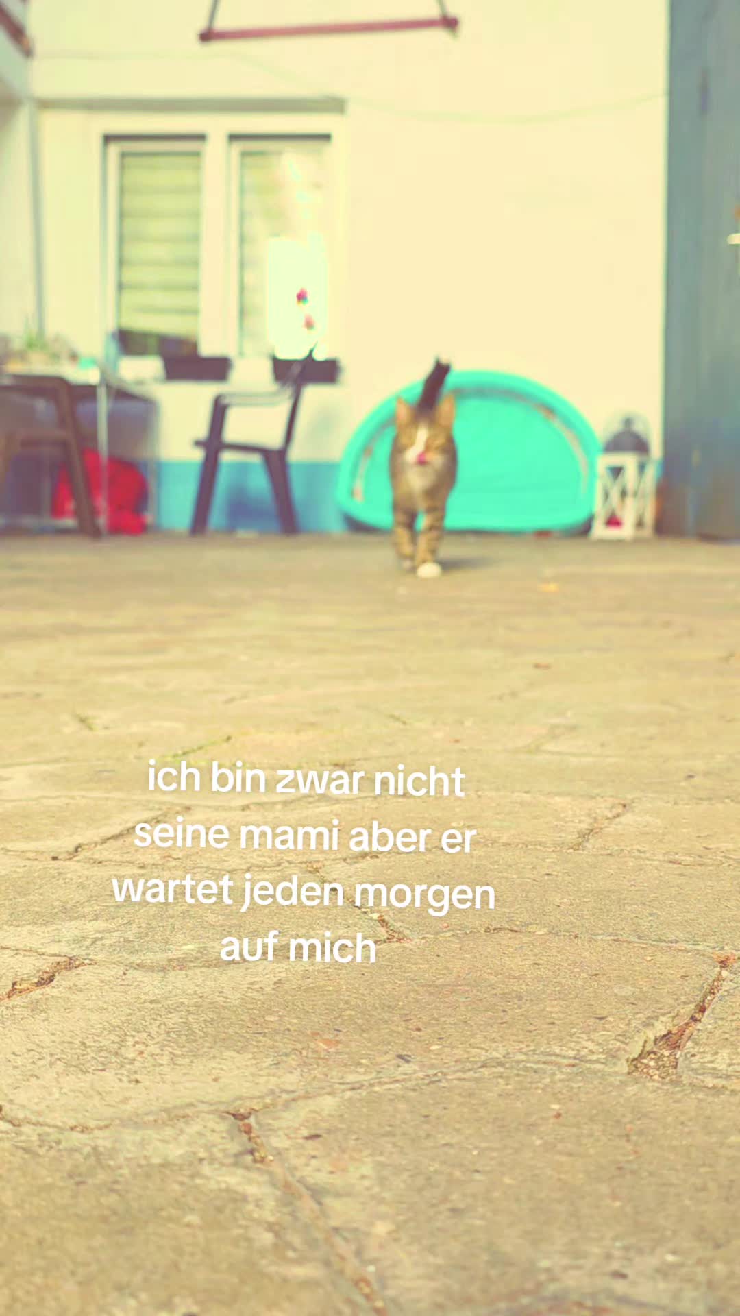 @zottel_maus123