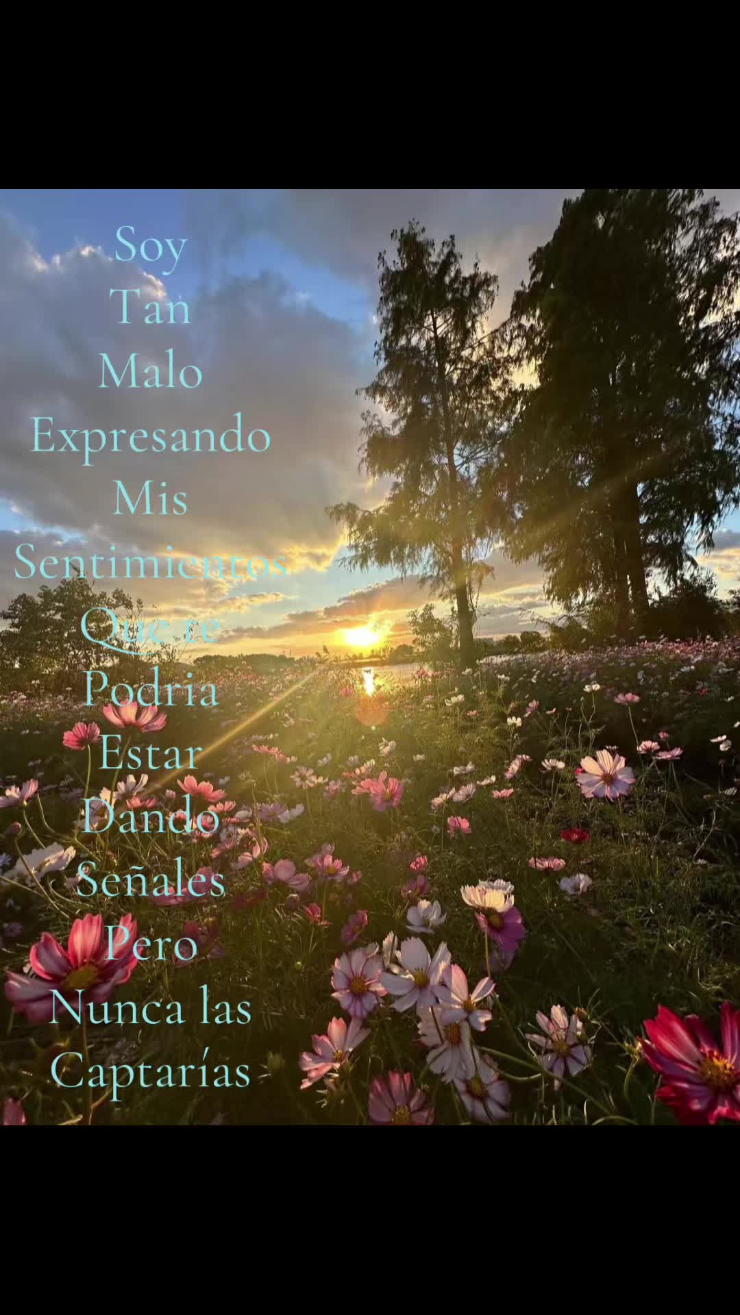 @▄︻デн&alpha;&iota;я&sigma;══━一