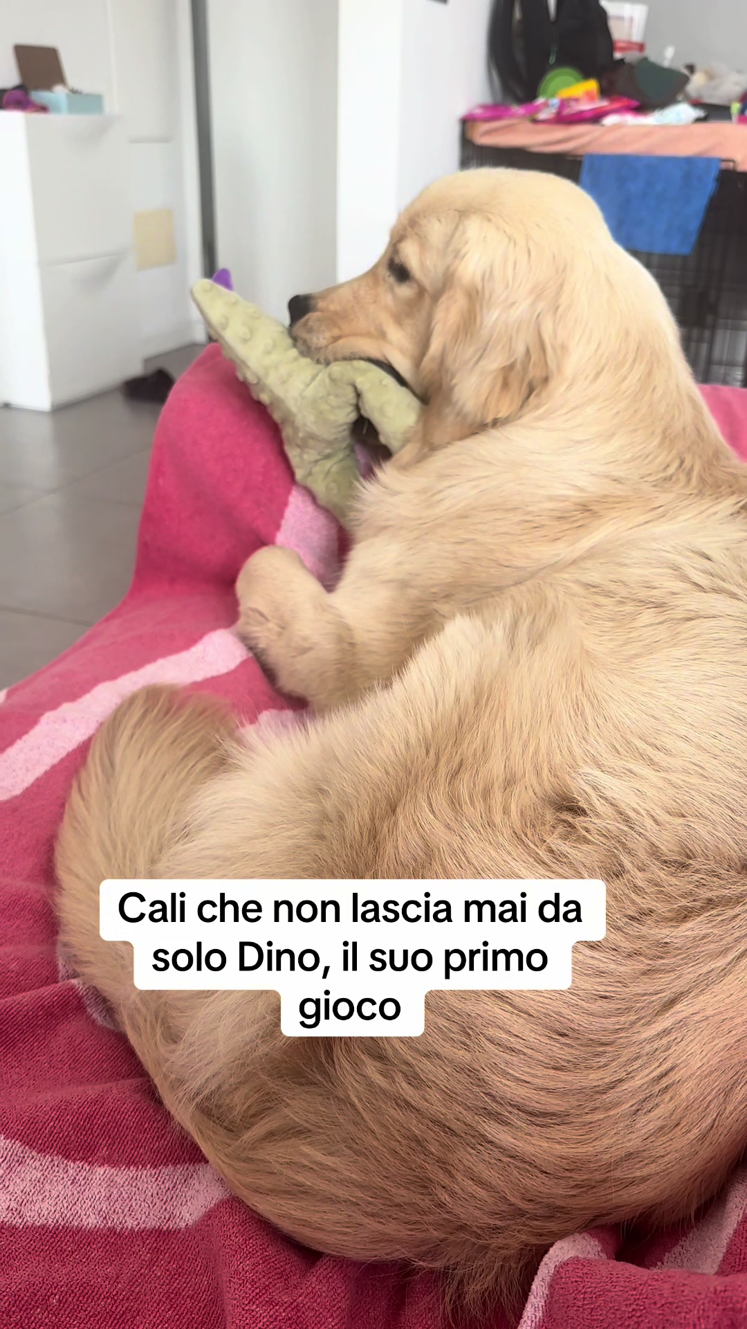 @Raffa&Cali