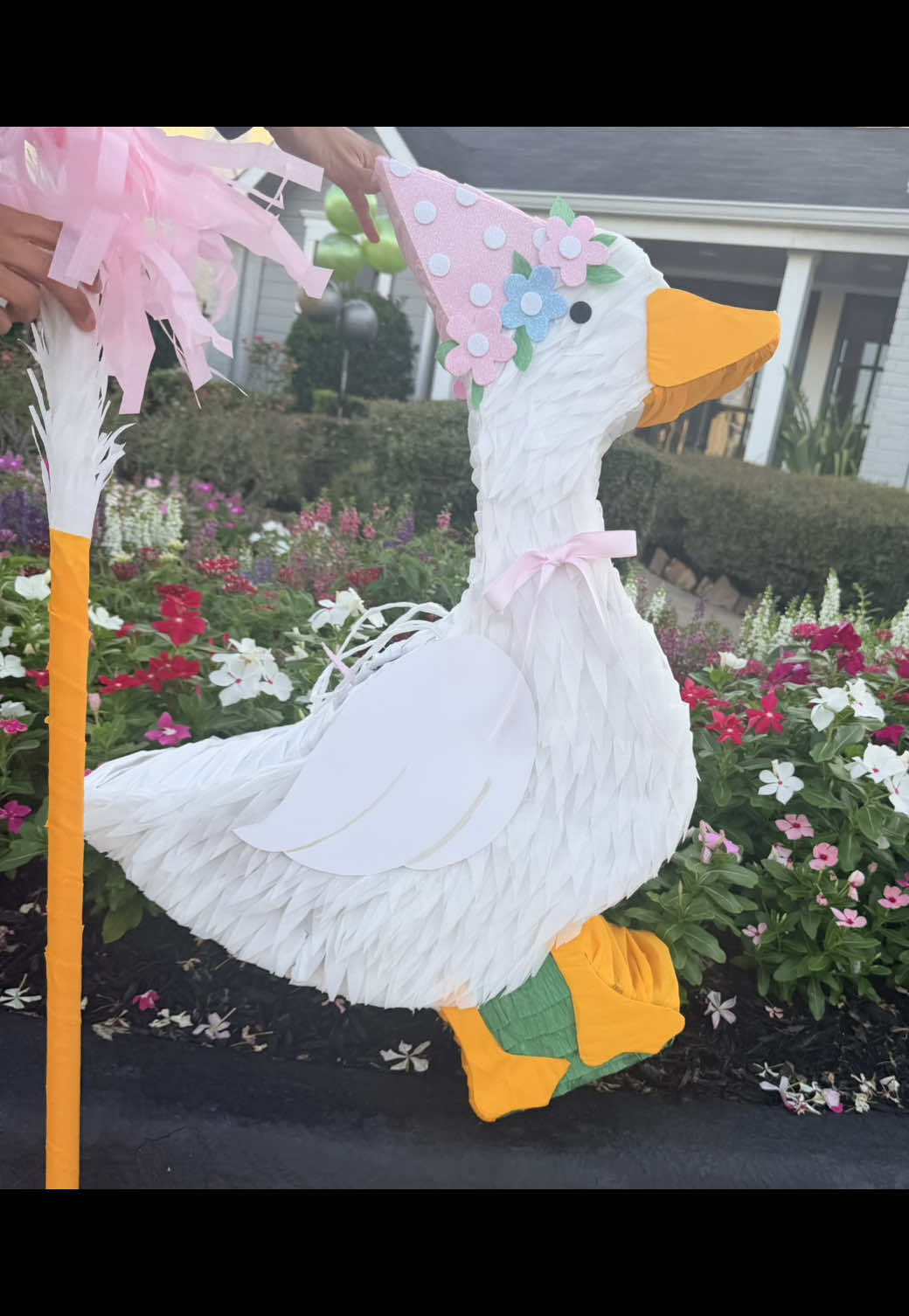 @Piñatas Isabella’s