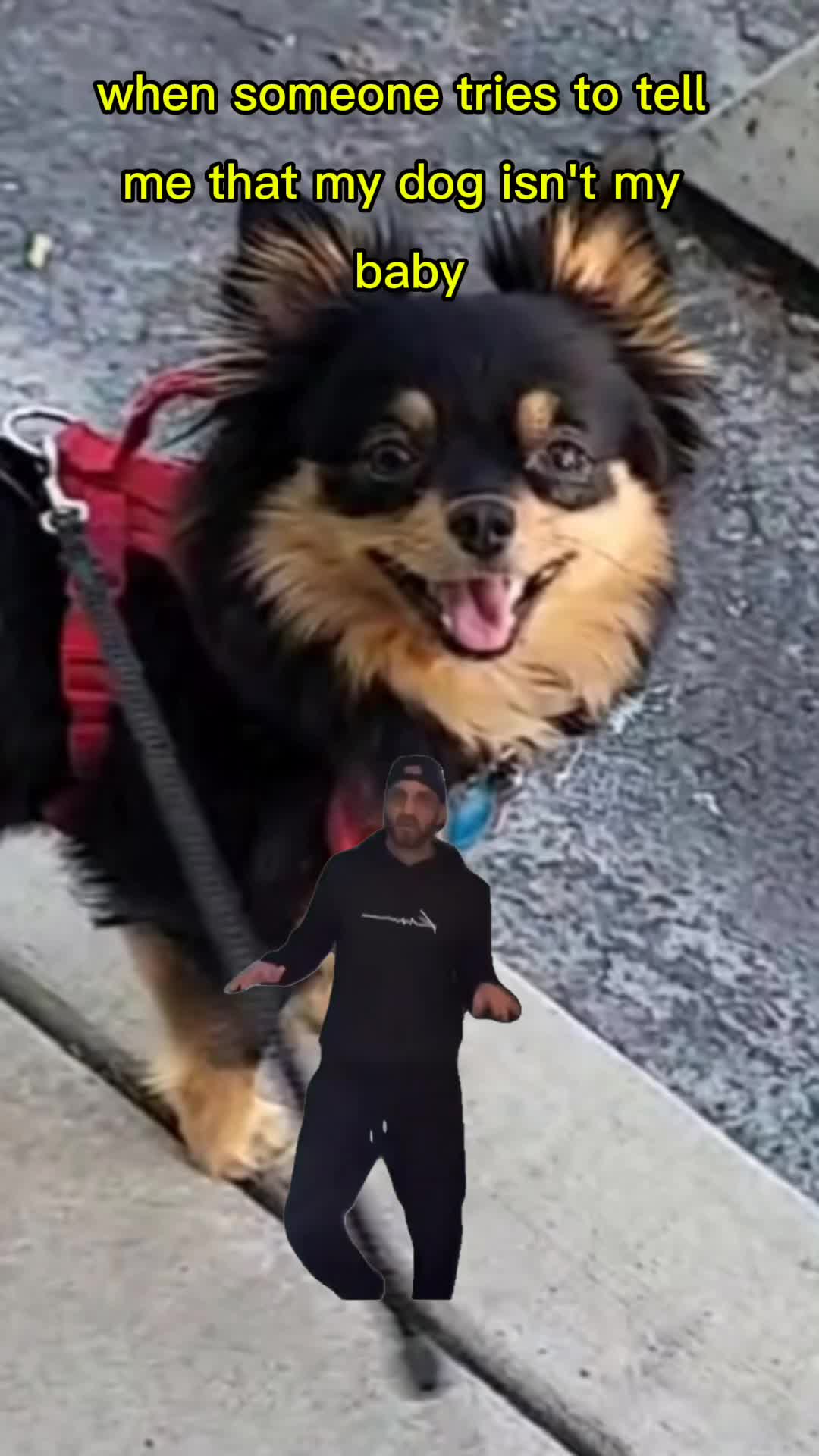 @theallnew