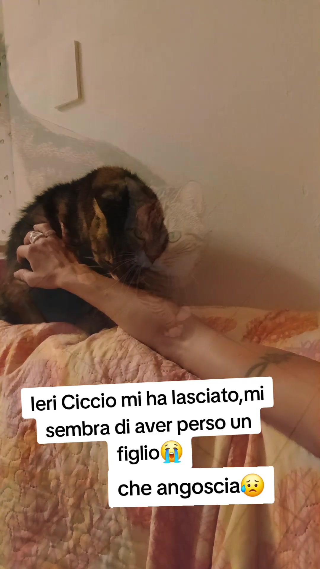 @Sonia&Adrian