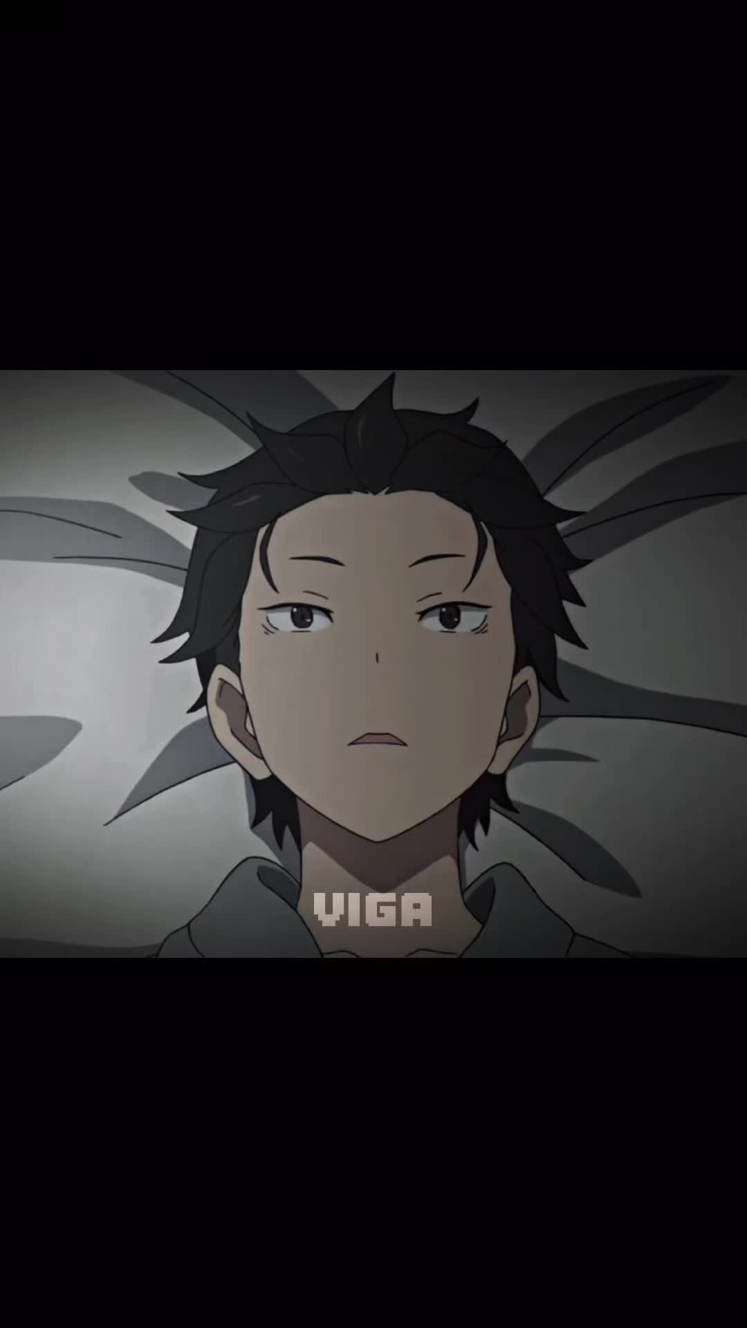 @viga