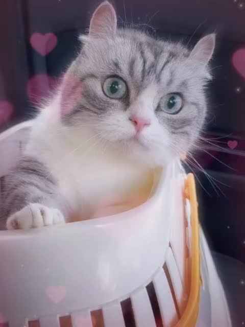 @VyyPilgrim72
