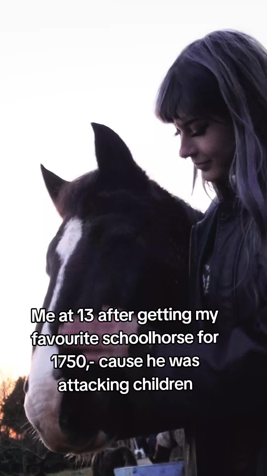@Dino and horses