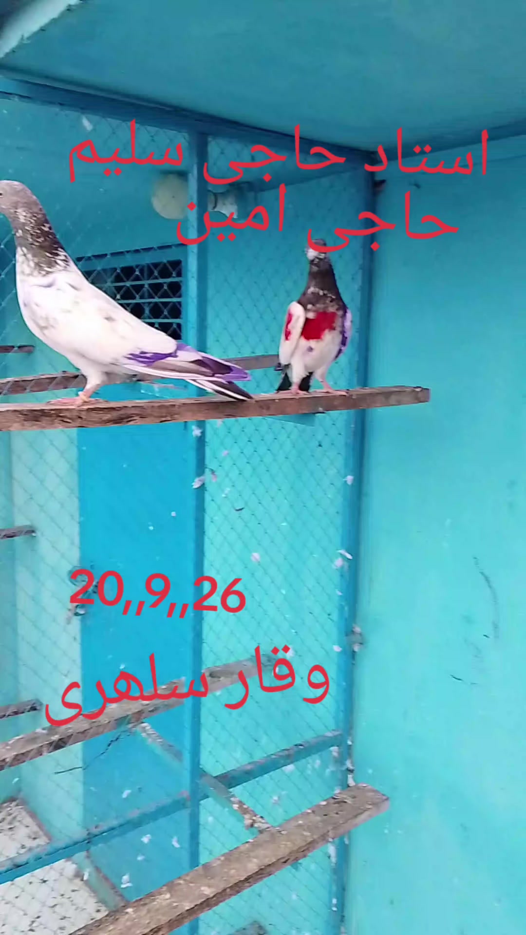 @waqarsulehri555