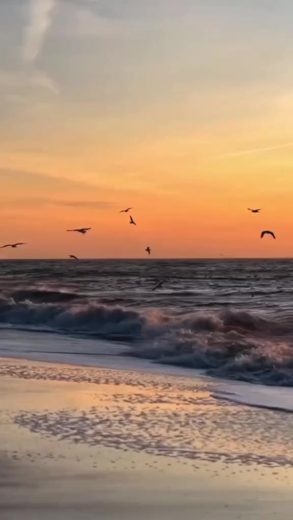 @ღ ᴅɪᴀɴᴀ ღ