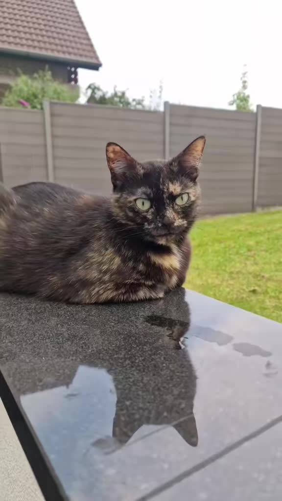 @GlaMurka🐈