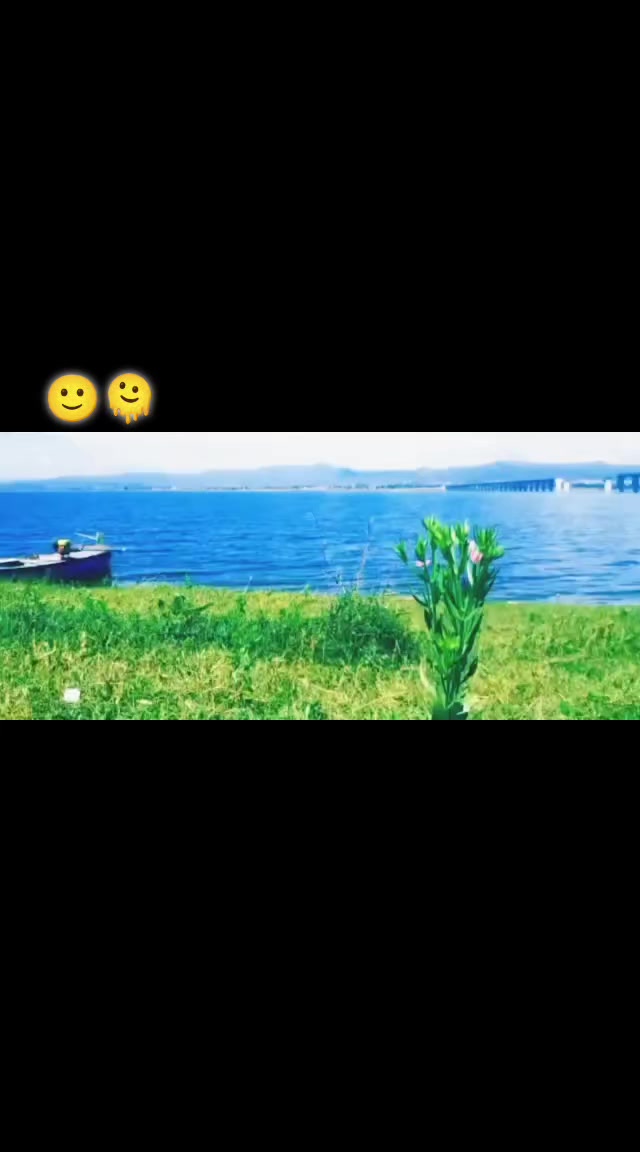 @چوھدری واصف ✨🩹